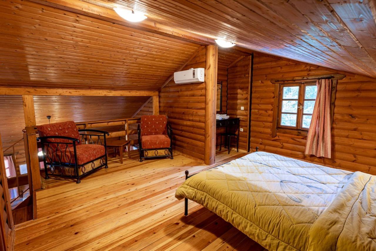 Chalet Likouresi Village Karpenisi Екстер'єр фото