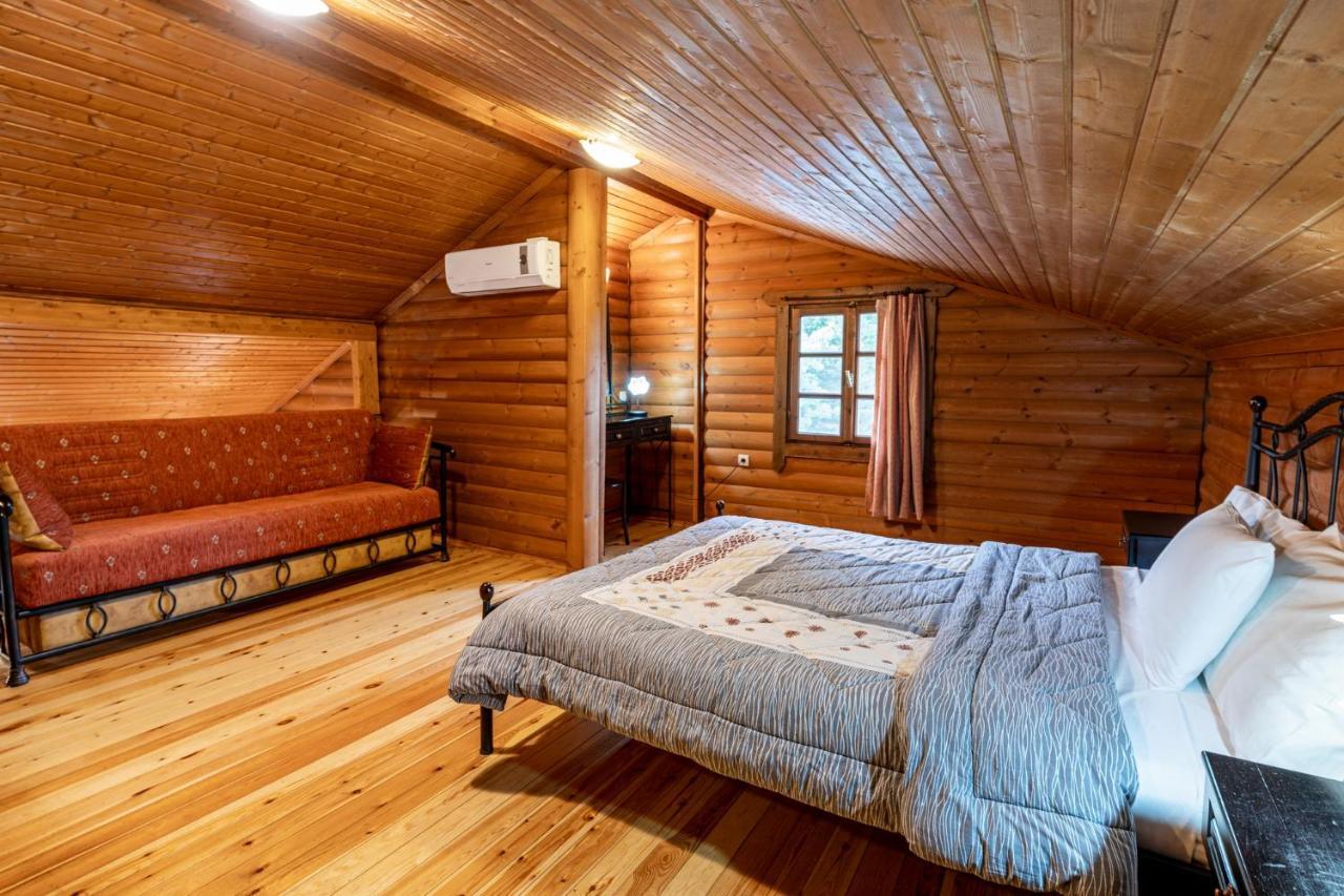 Chalet Likouresi Village Karpenisi Екстер'єр фото